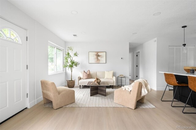 3065 S Eudora St, Denver, CO 80222 - living area featuring wood finished floors and baseboards