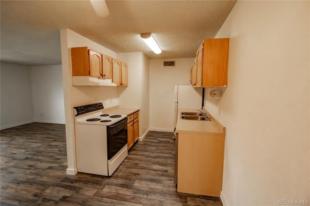 10211 Ura Ln Unit 9-308, Thornton, CO 80260 - kitchen with white range with electric stovetop, under cabinet range hood, dark wood-type flooring, a textured ceiling, and light countertops