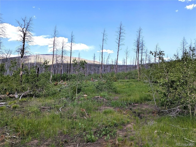 1590 Douglas Ln, Fort Garland, CO 81133