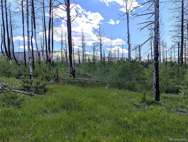 1590 Douglas Ln, Fort Garland, CO 81133