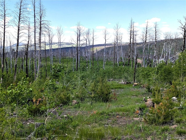 1590 Douglas Ln, Fort Garland, CO 81133