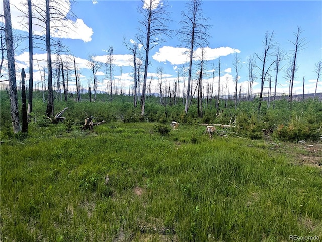 1590 Douglas Ln, Fort Garland, CO 81133