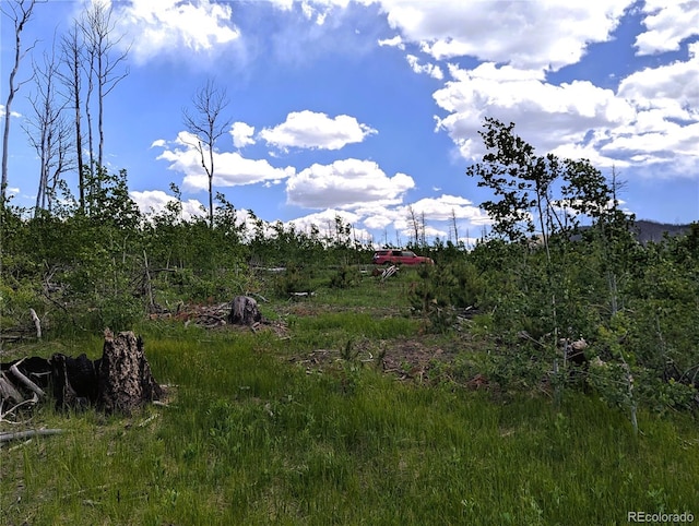 1590 Douglas Ln, Fort Garland, CO 81133