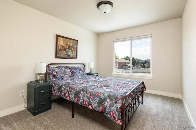 101 Wake St, Frederick, CO 80530 - bedroom with carpet floors and baseboards