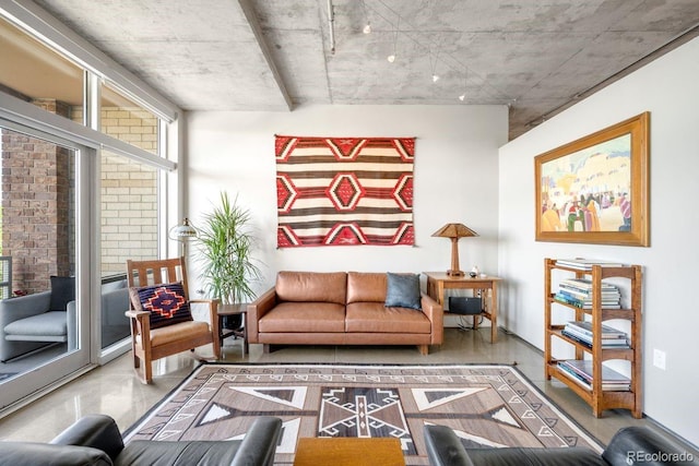 1610 Little Raven St Unit 302, Denver, CO 80202 - view of living area