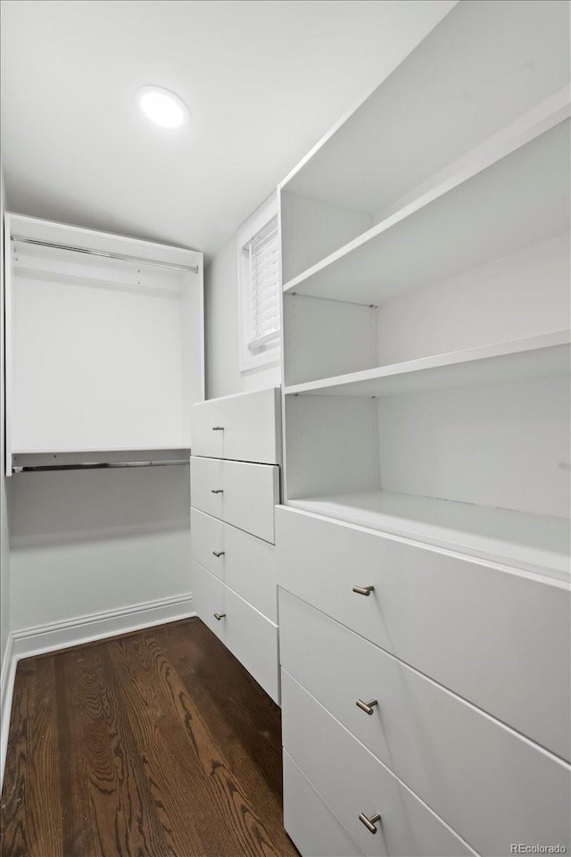 walk in closet featuring dark wood-type flooring