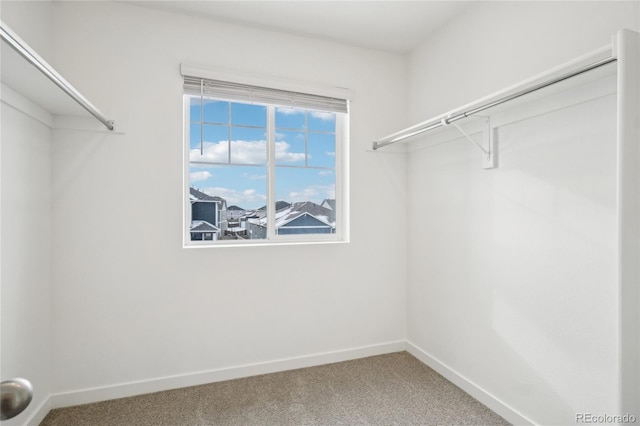 walk in closet with carpet flooring