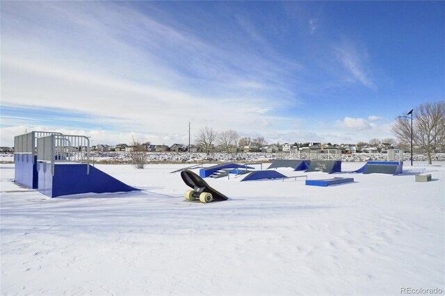 view of yard covered in snow