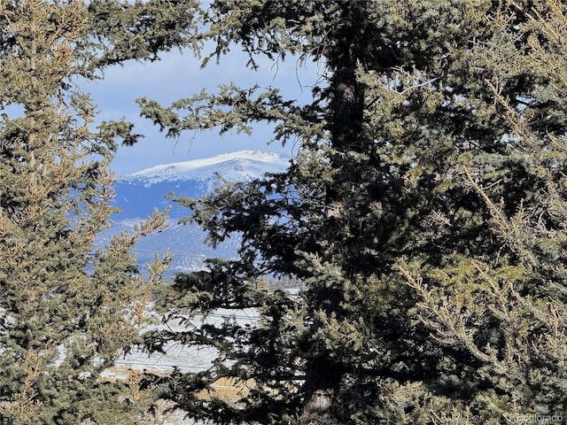 view of landscape with a mountain view