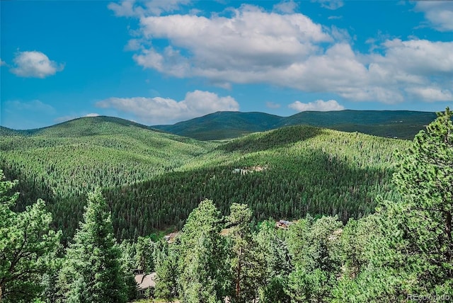 32482 Lodgepole Dr, Evergreen, CO 80439 - photo 2