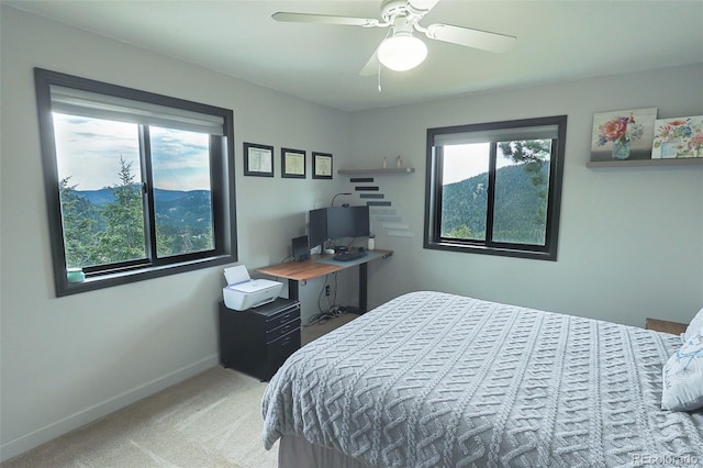 32482 Lodgepole Dr, Evergreen, CO 80439 - photo 21