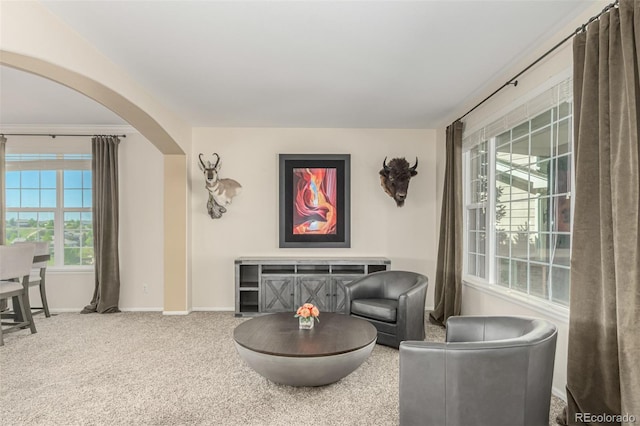 7852 Solstice Way, Castle Rock, CO 80108 - carpeted living room with arched walkways and baseboards