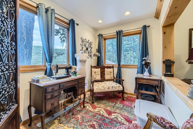 8758 S Murphy Gulch Rd, Littleton, CO 80127 - home office with healthy amount of natural light and recessed lighting