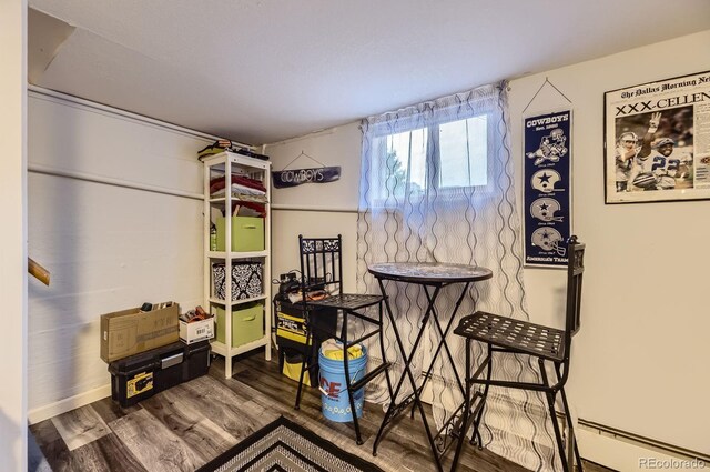 8758 S Murphy Gulch Rd, Littleton, CO 80127 - bedroom with wood finished floors and a baseboard radiator