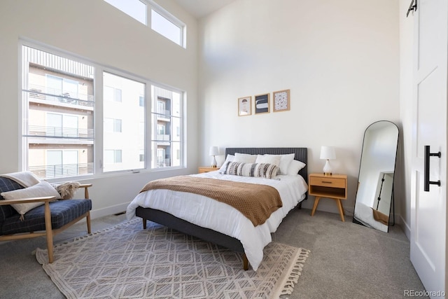 5227 N Eliot St, Denver, CO 80221 - bedroom featuring carpet flooring and a high ceiling
