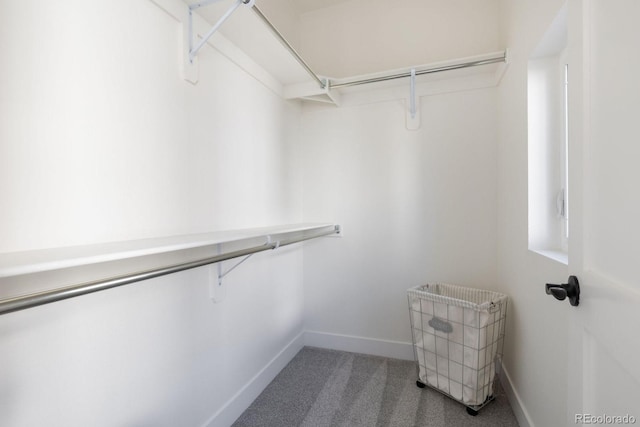 5227 N Eliot St, Denver, CO 80221 - spacious closet with carpet