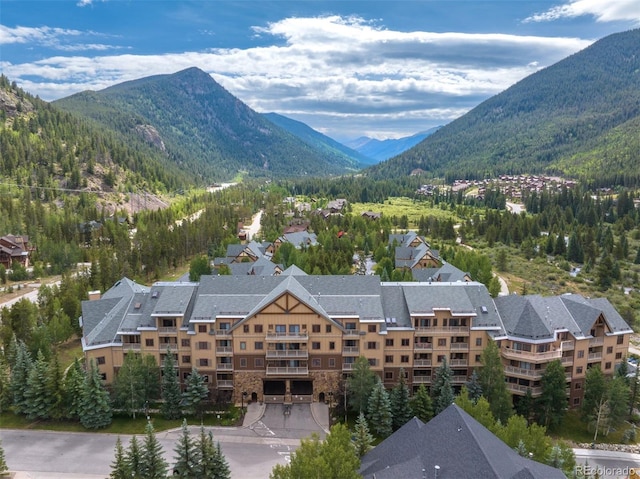 20 Hunki Dori Ct Unit 2225, Keystone, CO 80435 - photo 38