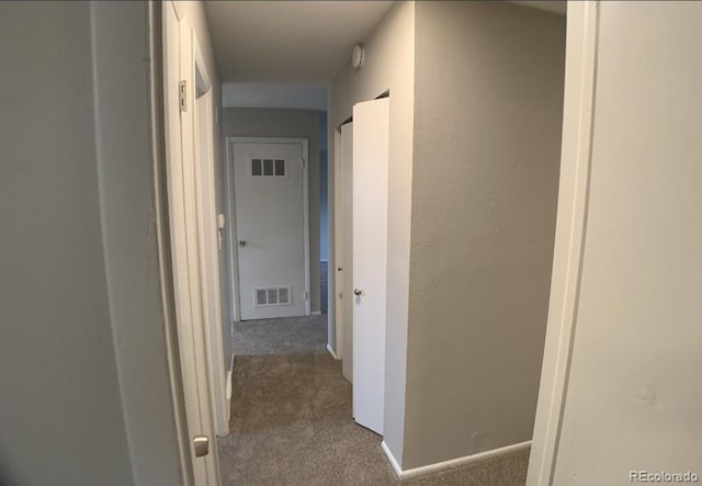 6600 Knox Ct, Denver, CO 80221 - corridor with dark colored carpet