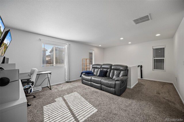 7072 Passing Sky Dr, Colorado Springs, CO 80911 - photo 20