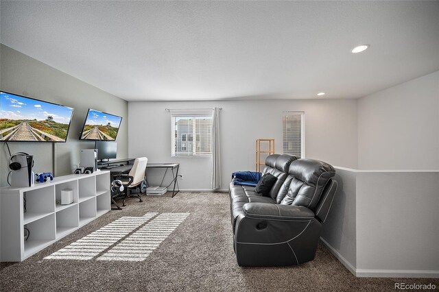7072 Passing Sky Dr, Colorado Springs, CO 80911 - photo 21