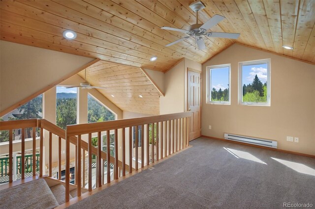 50 Dakota Ln, Woodland Park, CO 80863 - photo 21