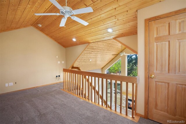 50 Dakota Ln, Woodland Park, CO 80863 - photo 22