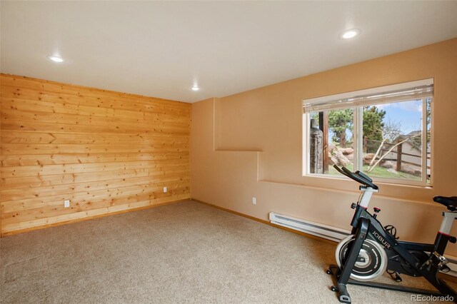 50 Dakota Ln, Woodland Park, CO 80863 - photo 25
