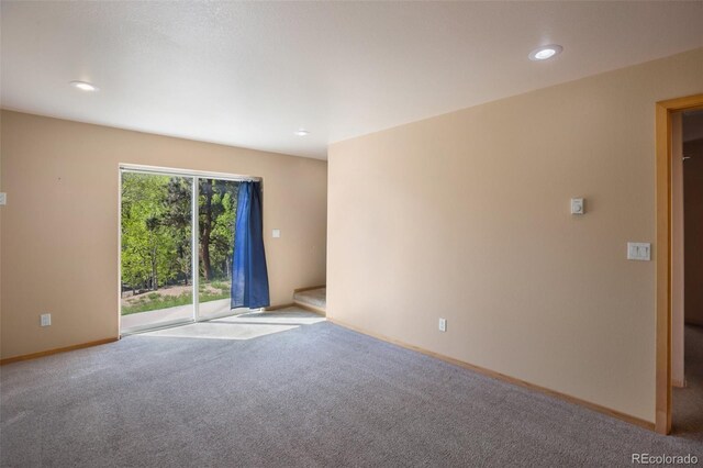 50 Dakota Ln, Woodland Park, CO 80863 - photo 35