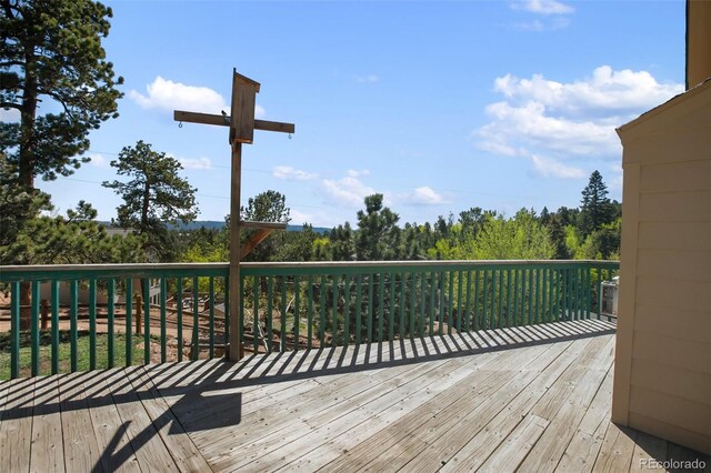 50 Dakota Ln, Woodland Park, CO 80863 - photo 43