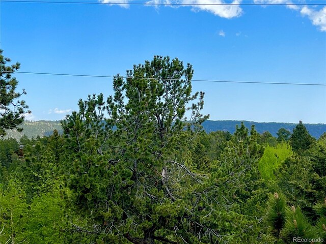50 Dakota Ln, Woodland Park, CO 80863 - photo 49