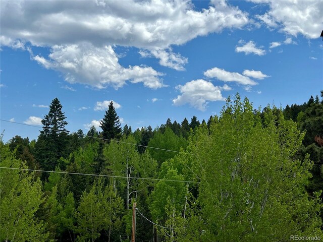 50 Dakota Ln, Woodland Park, CO 80863 - photo 50