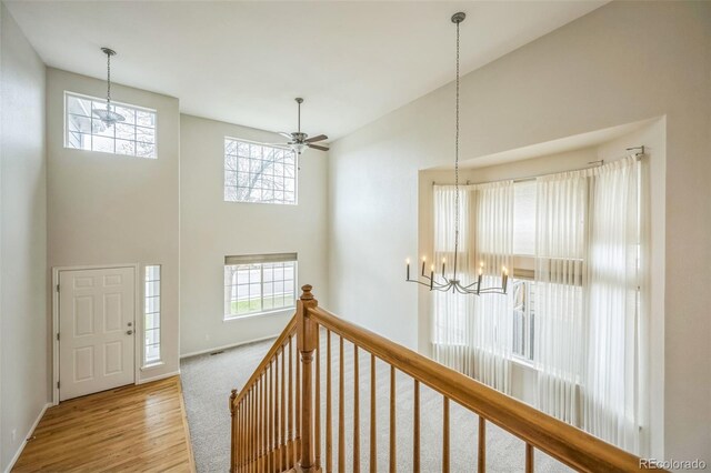 510 Fairhaven St, Castle Rock, CO 80104 - photo 7