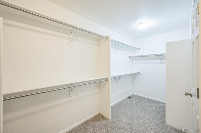 510 Fairhaven St, Castle Rock, CO 80104 - photo 23