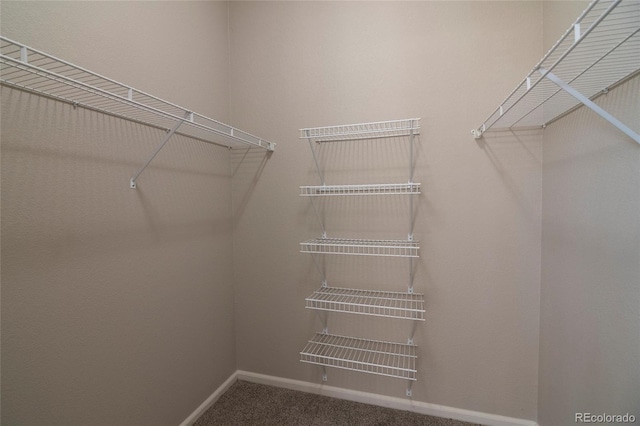 1425 Blue Sky Cir Unit 15-107, Erie, CO 80516 - photo 25