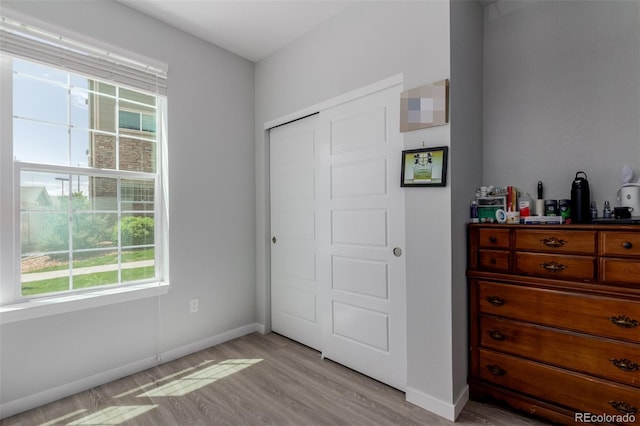 9185 Wilde Ln Unit 101, Parker, CO 80134 - bedroom featuring light wood-type flooring, a closet, and baseboards