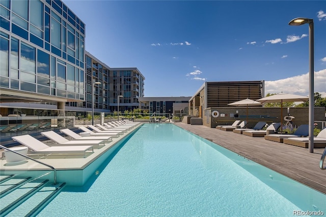 view of swimming pool