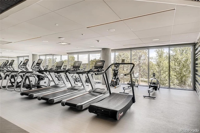 gym with a wall of windows and a drop ceiling