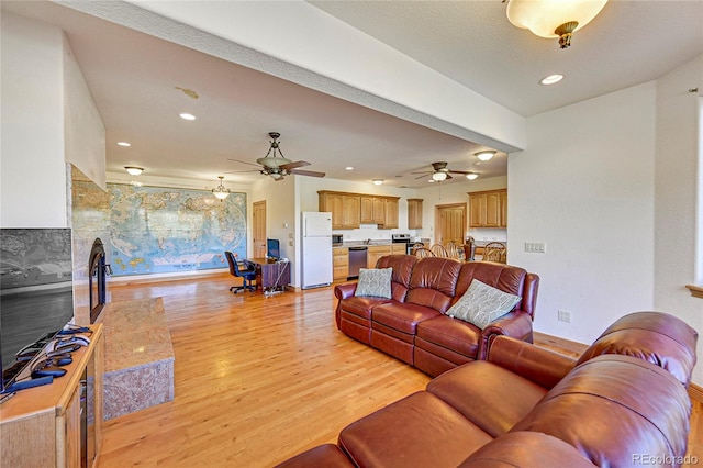 living room featuring light hardwood / wood-style floors