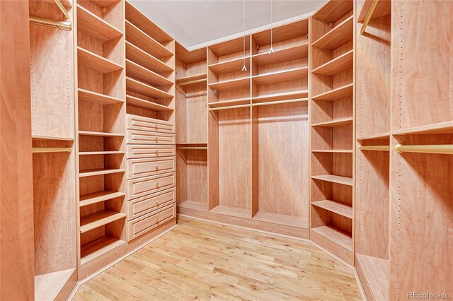 spacious closet featuring hardwood / wood-style floors