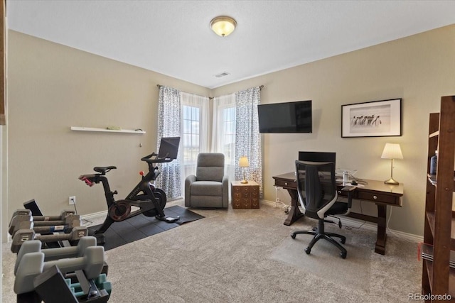 17102 W 85th Pl, Arvada, CO 80007 - office with baseboards and carpet floors