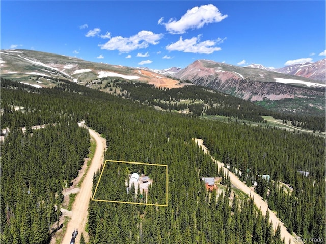 832 Prunes Pl, Fairplay, CO 80440 - photo 1