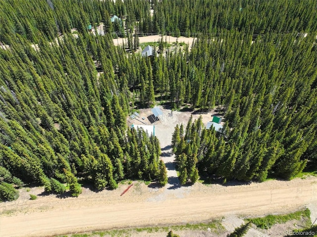 832 Prunes Pl, Fairplay, CO 80440 - photo 3