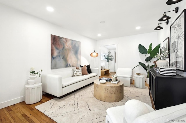 living room featuring light hardwood / wood-style floors