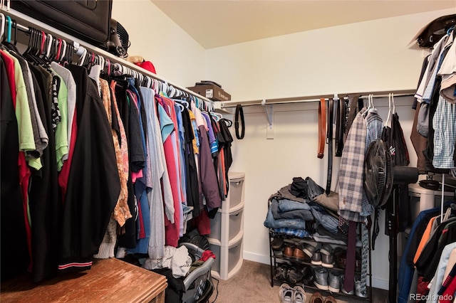 spacious closet featuring carpet flooring