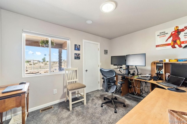 1882 N Rough Rock Ln, Pueblo West, CO 81007 - home office featuring carpet floors and baseboards