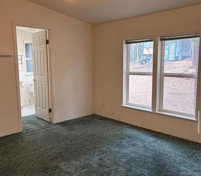 3647 Pathfinder Rd Unit B, Florissant, CO 80816 - view of carpeted empty room