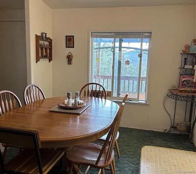 3647 Pathfinder Rd Unit B, Florissant, CO 80816 - dining area featuring healthy amount of natural light and dark colored carpet