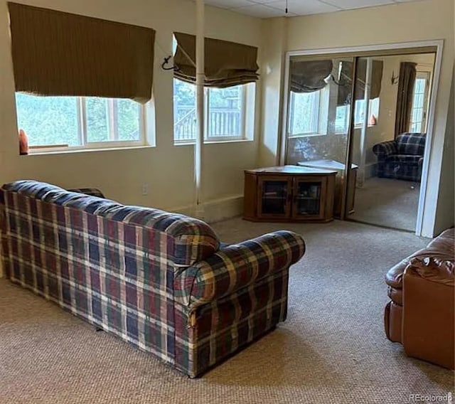 3647 Pathfinder Rd Unit B, Florissant, CO 80816 - living area with carpet and healthy amount of natural light