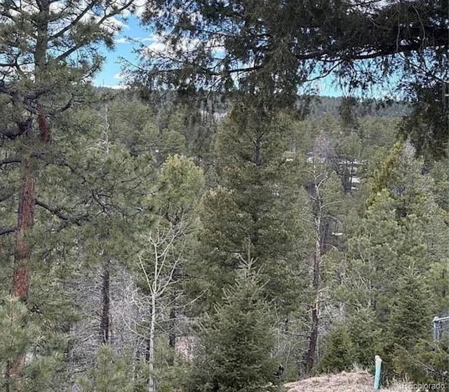 3647 Pathfinder Rd Unit B, Florissant, CO 80816 - view of woods