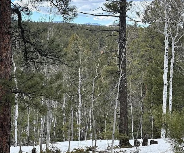 3647 Pathfinder Rd Unit B, Florissant, CO 80816 - snowy landscape featuring a wooded view